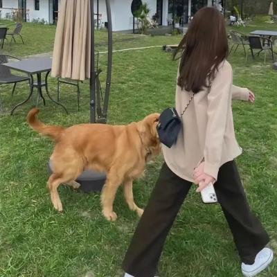 拦截终结者